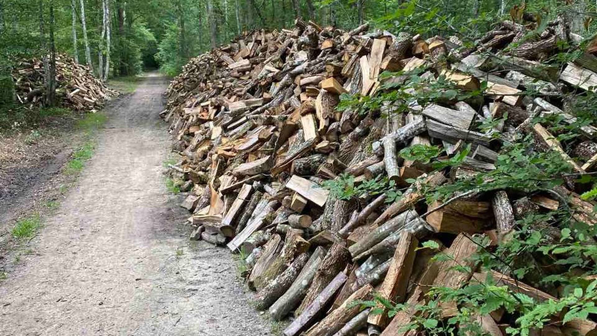 photo_2022-03-25_21-23-06