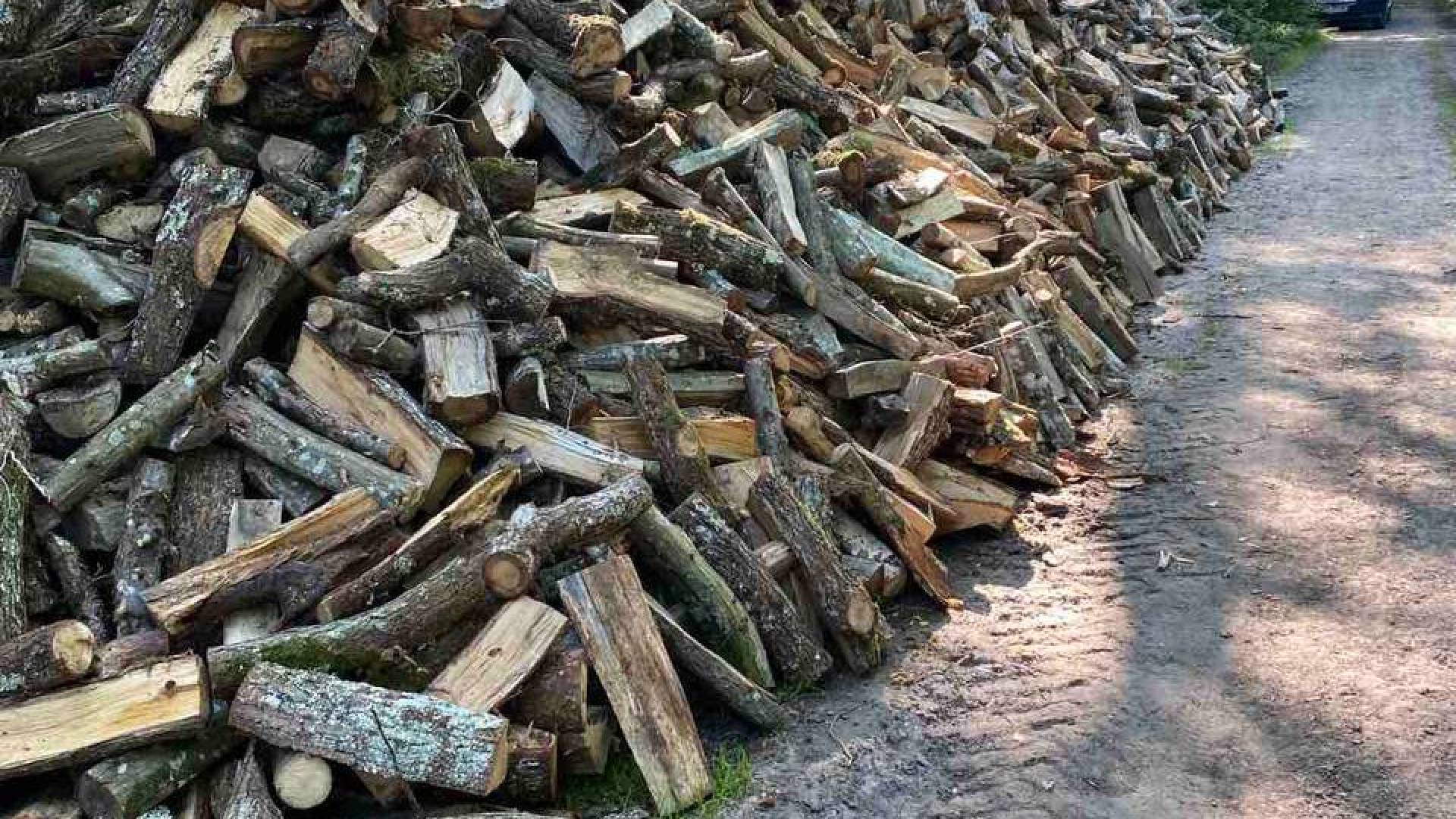 photo_2022-03-25_21-25-07