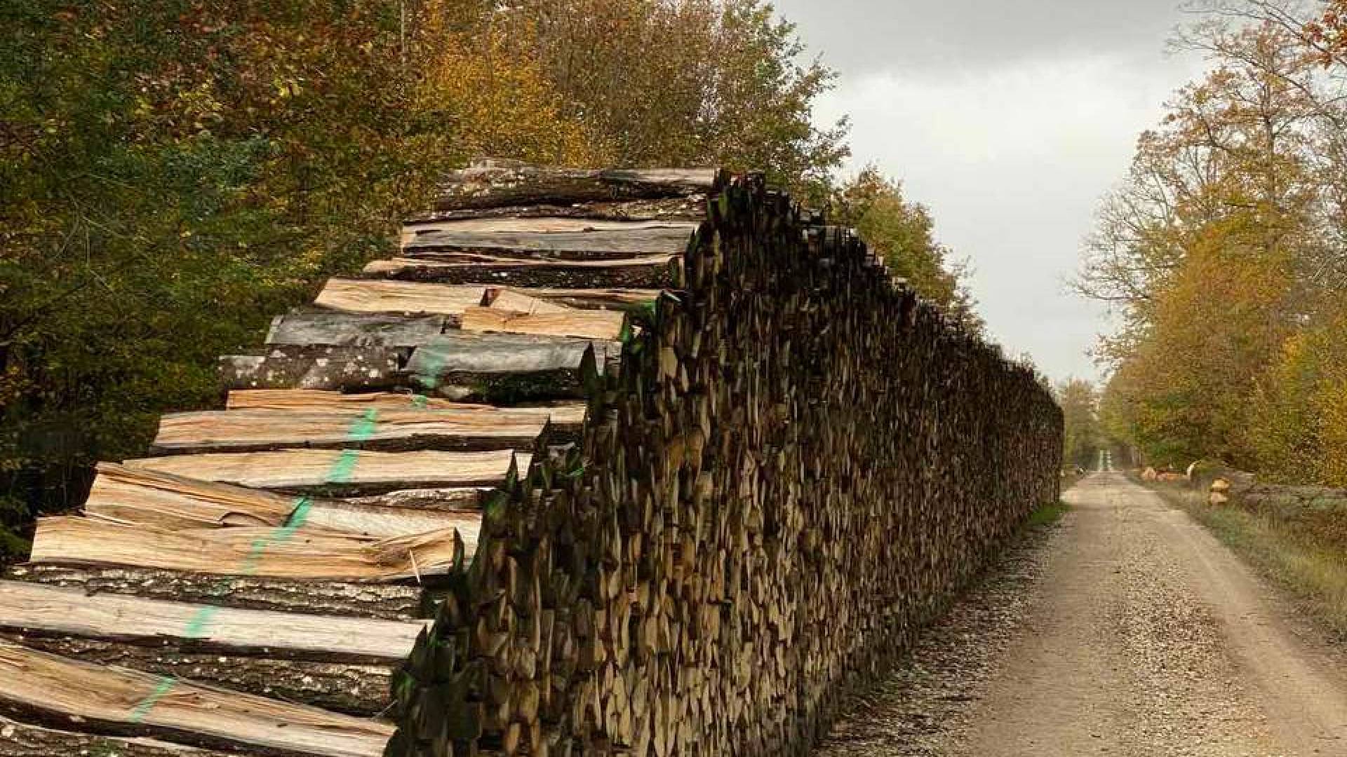 photo_2022-03-25_21-25-52