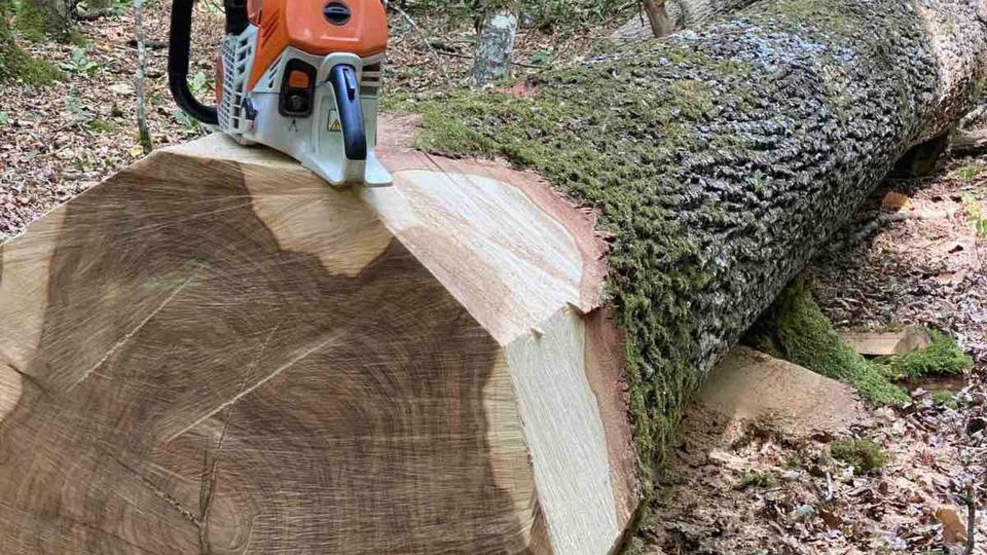 photo_2022-03-25_21-25-59