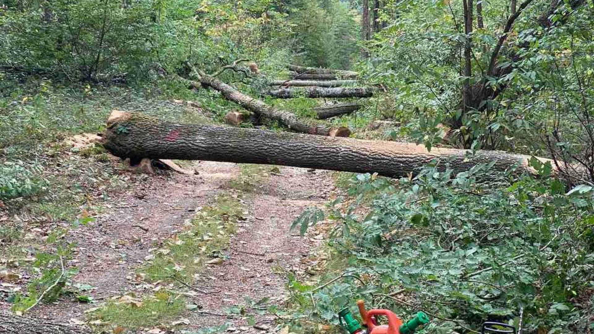 photo_2022-03-25_21-26-01